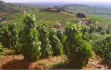 chambres d'hotes du chateau de Marmont en Dombes, acces direct au golf de Bresse (Ain)