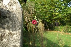 chambres d'hotes du chateau de Marmont en Dombes, acces direct au golf de Bresse (Ain)