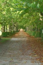 chambres d'hotes du chateau de Marmont en Dombes, acces direct au golf de Bresse (Ain)