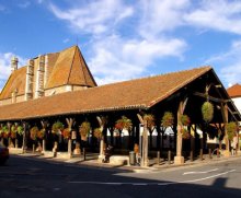 Halles de Chatillon sur Chalaronne chambres d'hotes du chateau de Marmont en Dombes, acces direct au golf de Bresse (Ain)